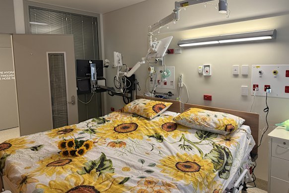 Each cuddle bed costs $24,000.