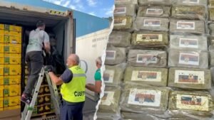 0M cocaine haul found ‘skillfully concealed’ in massive banana shipment 0M cocaine haul found ‘skillfully concealed’ in massive banana shipment