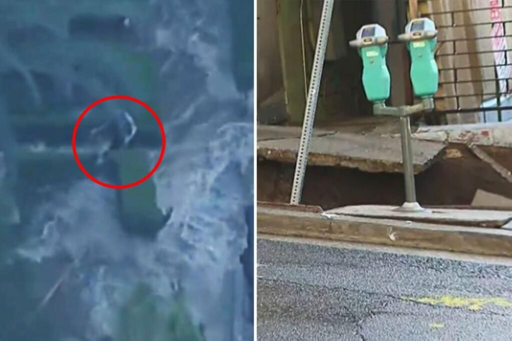 Terrifying moment woman swept away by powerful water torrent — as two men plunge into sinkhole in LA Terrifying moment woman swept away by powerful water torrent — as two men plunge into sinkhole in LA