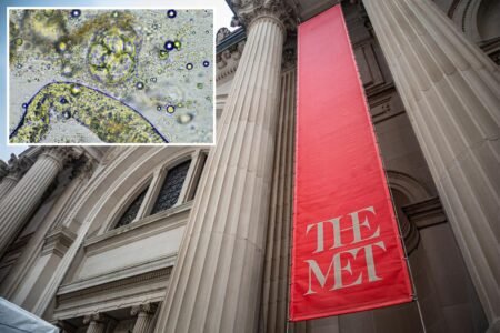 Met Museum, several elite NYC prep schools among 76 buildings positive for bacteria behind Legionnaires’ outbreak