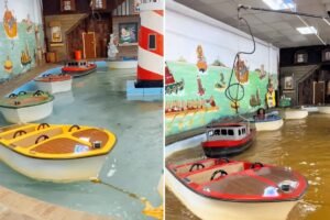 Disgusting video shows children riding boats in ‘sewage brown’ water at popular Maryland theme park Disgusting video shows children riding boats in ‘sewage brown’ water at popular Maryland theme park