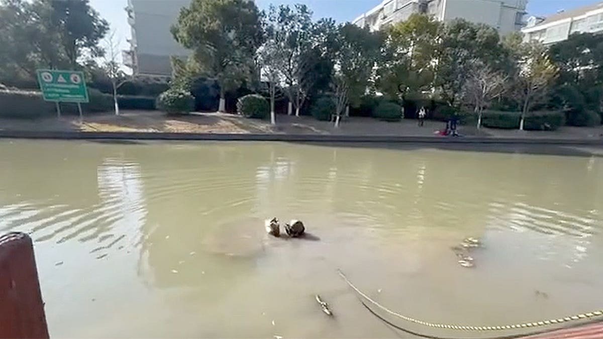 coupang laptop dive mission