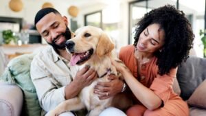 CVS offers new pharmacy option for pet owners CVS offers new pharmacy option for pet owners