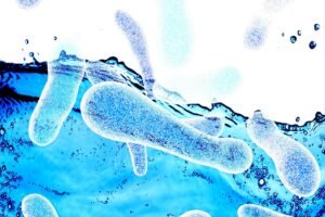 Latest NYC Legionnaires’ disease outbreak rises to 59 cases — with bacteria now detected for first time across park, at posh UWS building Latest NYC Legionnaires’ disease outbreak rises to 59 cases — with bacteria now detected for first time across park, at posh UWS building