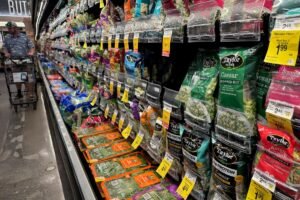 FDA says Taylor Farms had false positive after test pinned ‘explosive diarrhea’ parasite on Taco Bell lettuce supplier