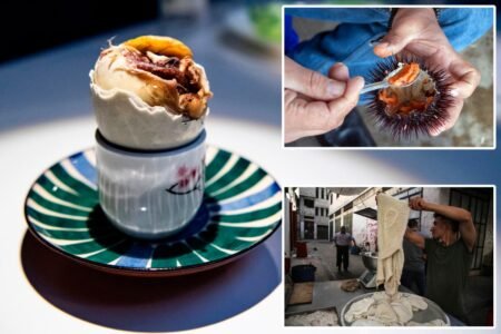Pass the maggots please: Here is where America’s most adventrous eaters live Pass the maggots please: Here is where America’s most adventrous eaters live