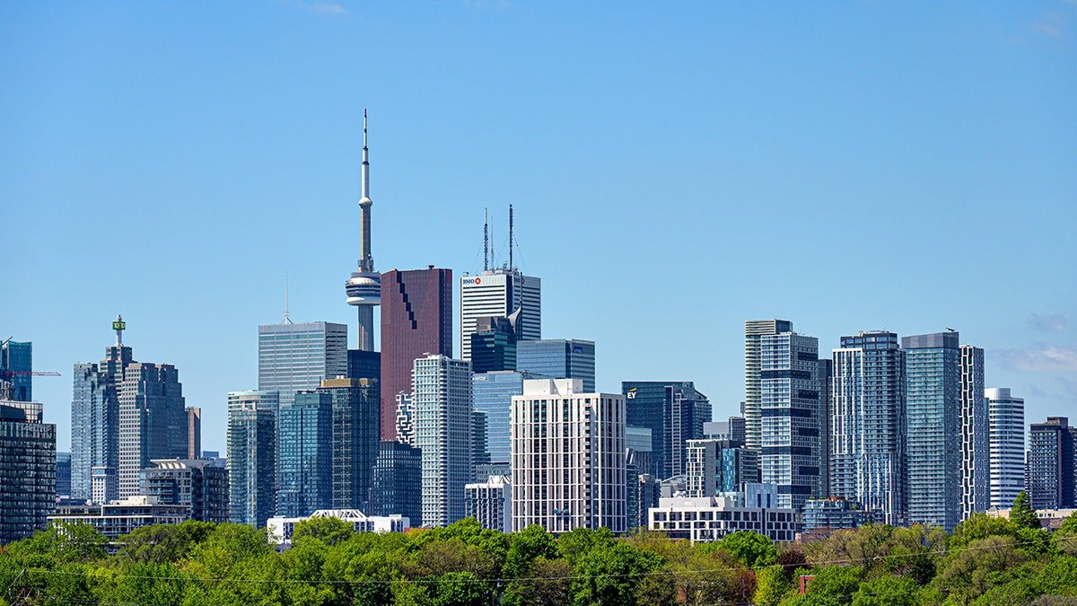 buildings and trees in Toronto skyline