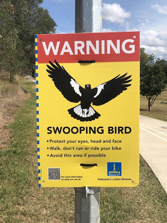 One of the council’s swooping warning signs.