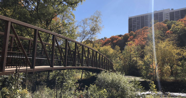 New trail opens in midtown Toronto ravine New trail opens in midtown Toronto ravine