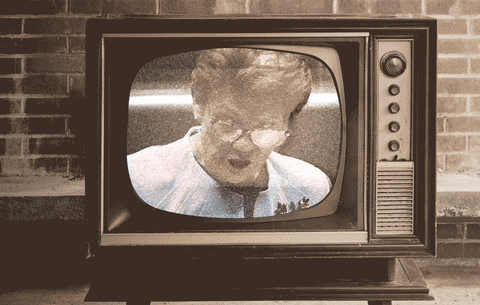 Pauline Hanson breaking through the static.