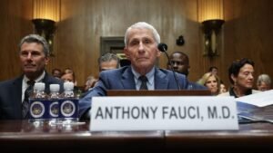 Top 5 moments from Fauci’s hearing: Paul boots lawyer, Moreno erupts as contempt vote looms Top 5 moments from Fauci’s hearing: Paul boots lawyer, Moreno erupts as contempt vote looms