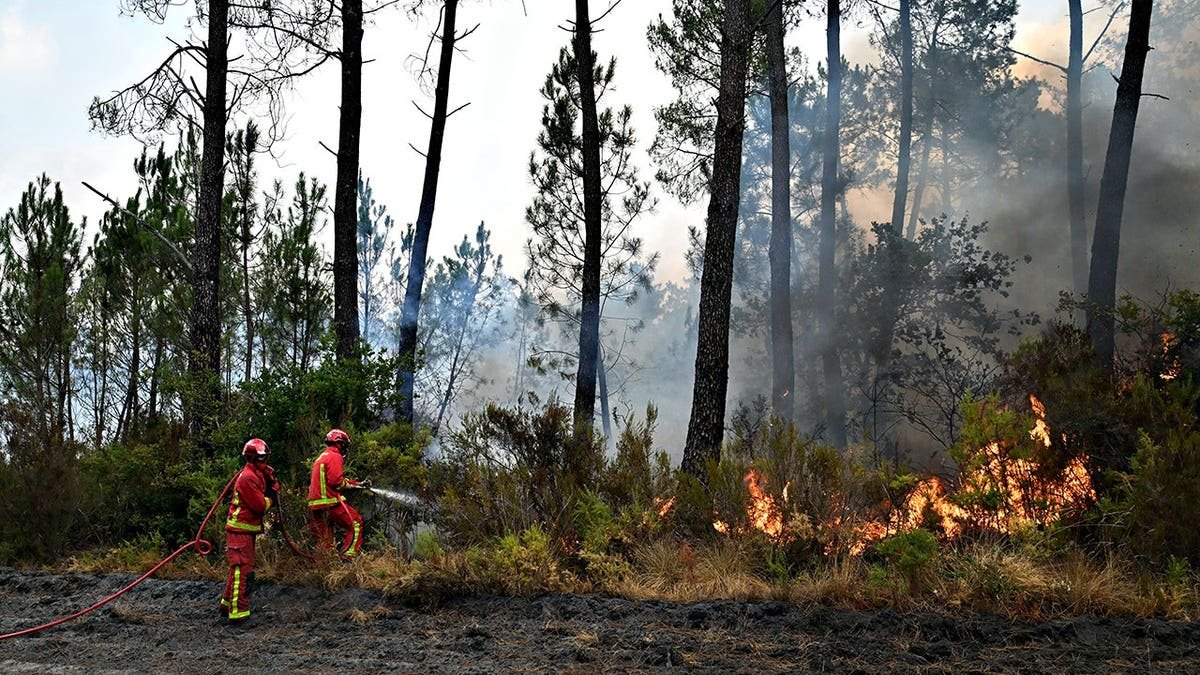 Firefighters battle a wildfire near Marcheprime, outside Bordeaux, France.
