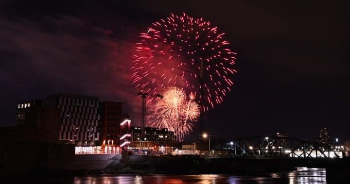 Canada Day fireworks and pets: How to keep your furry friend safe Canada Day fireworks and pets: How to keep your furry friend safe