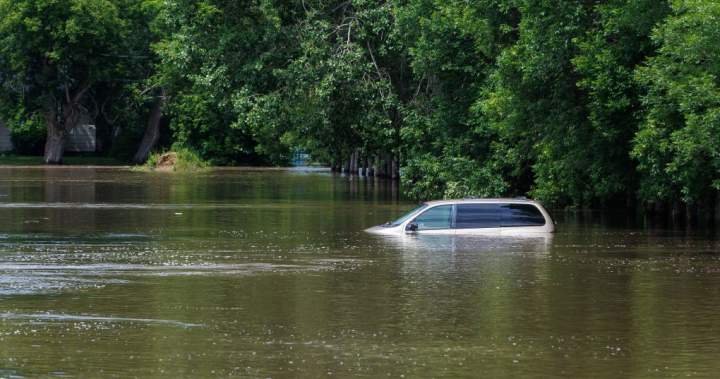 ‘Light at the end of the tunnel is very far away:’ mayor of flooded Manitoba town ‘Light at the end of the tunnel is very far away:’ mayor of flooded Manitoba town
