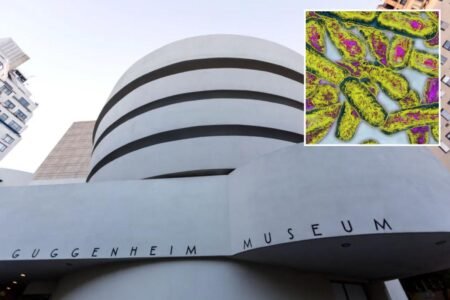 Guggenheim Museum is among 31 UES buildings infected with Legionnaires bacteria