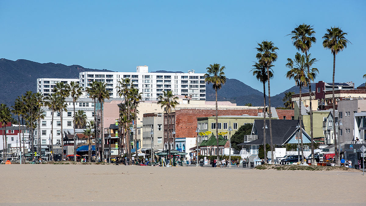 venice-beach-skyline-los-angeles-california.jpg