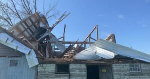 Flattened trees, damaged buildings caused by 2 tornadoes near Kingston: researchers Flattened trees, damaged buildings caused by 2 tornadoes near Kingston: researchers
