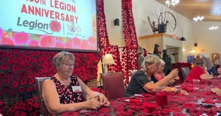 Volunteers work year-round for Dartmouth Remembrance Day poppy tribute