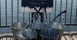 GTA environmental group nears milestone of 10 million litter pieces picked