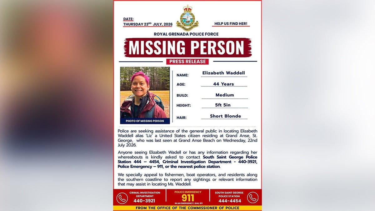 Liz Waddell missing person poster