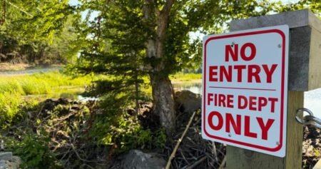Beavers and a Tim’s card: a very Canadian solution to a firefighting challenge Beavers and a Tim’s card: a very Canadian solution to a firefighting challenge