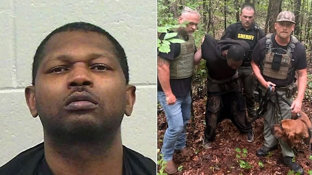 Bloodhound K-9 unit helps bring Georgia manhunt to end with arrest of suspect accused of shooting woman Bloodhound K-9 unit helps bring Georgia manhunt to end with arrest of suspect accused of shooting woman