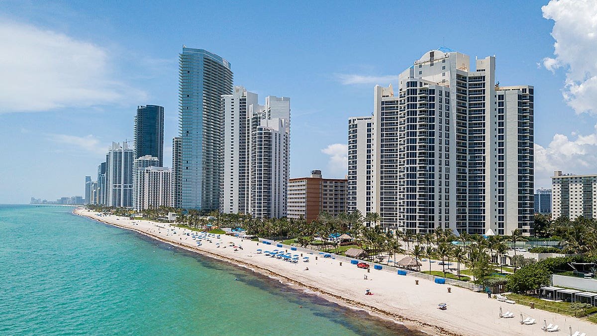 Miami skyline
