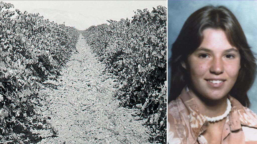 Teen found in shallow California vineyard grave identified nearly 50 years later as family warns killer Teen found in shallow California vineyard grave identified nearly 50 years later as family warns killer