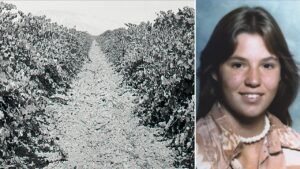 Teen found in shallow California vineyard grave identified nearly 50 years later as family warns killer Teen found in shallow California vineyard grave identified nearly 50 years later as family warns killer