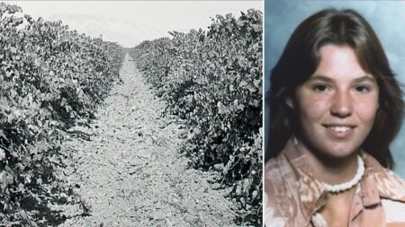 Teen found in shallow California vineyard grave identified nearly 50 years later as family warns killer