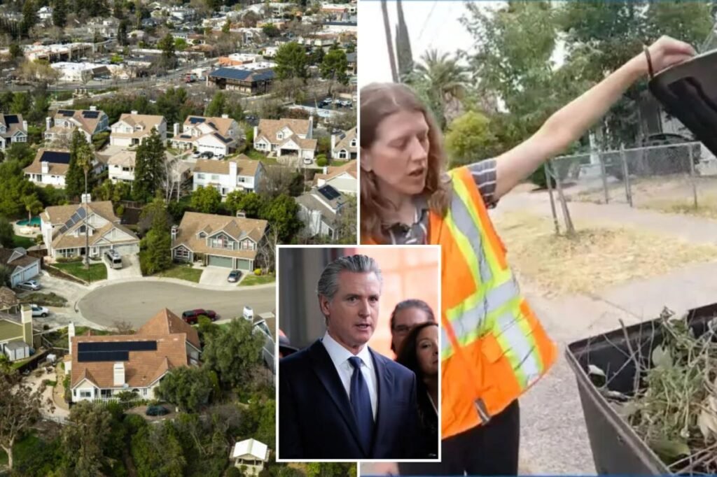 Sacramento deploys trash spies to snoop on homeowners so they comply with Newsom vision Sacramento deploys trash spies to snoop on homeowners so they comply with Newsom vision