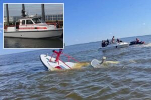 Whale strikes, sinks NJ fire rescue ship returning from NY Harbor after July 4th festivities