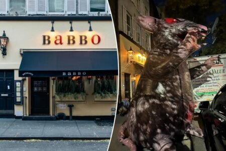 Exclusive | Iconic NYC eatery Babbo ordered to turn over video from when ‘Scabby the Rat’ mascot was knifed Exclusive | Iconic NYC eatery Babbo ordered to turn over video from when ‘Scabby the Rat’ mascot was knifed