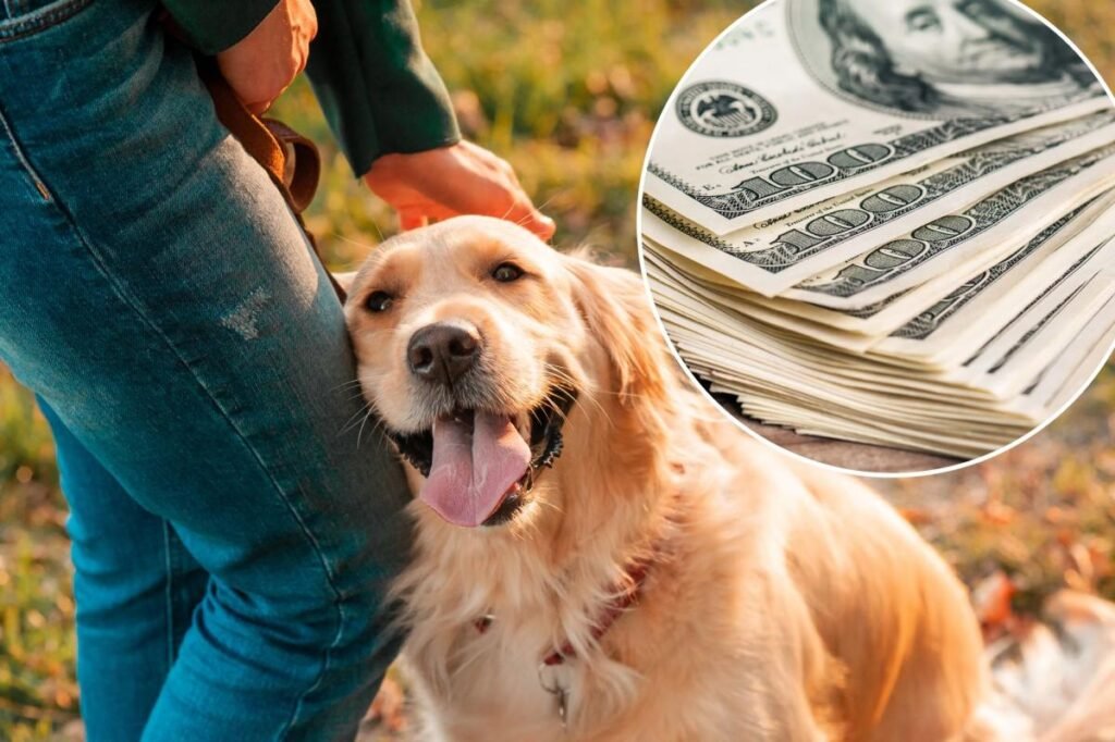 The ,000 dog: Inside the pet debt crisis hitting a breaking point in 2026 The ,000 dog: Inside the pet debt crisis hitting a breaking point in 2026