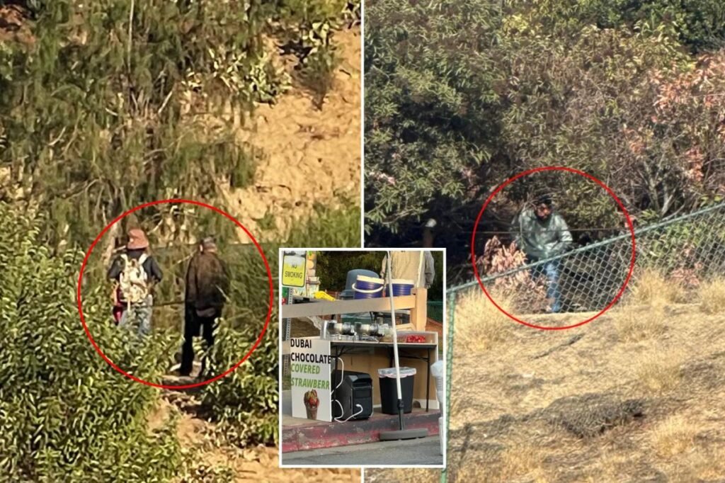 Exclusive | Lake Hollywood Park rocked by wave of truly disgusting acts — before food is served Exclusive | Lake Hollywood Park rocked by wave of truly disgusting acts — before food is served