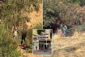 Exclusive | Lake Hollywood Park rocked by wave of truly disgusting acts — before food is served Exclusive | Lake Hollywood Park rocked by wave of truly disgusting acts — before food is served