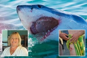 Why shark attacks in US waters are already nearing double figures even though summer just kicked off Why shark attacks in US waters are already nearing double figures even though summer just kicked off