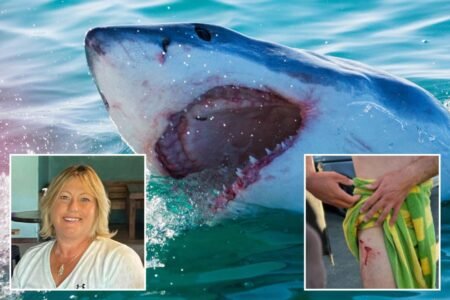 Why shark attacks in US waters are already nearing double figures even though summer just kicked off Why shark attacks in US waters are already nearing double figures even though summer just kicked off