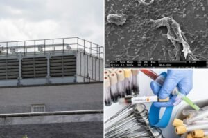 First death reported in NYC’s legionnaires disease outbreak as number of infected rises First death reported in NYC’s legionnaires disease outbreak as number of infected rises