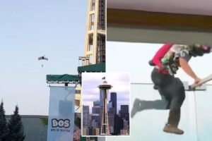 Daredevil BASE jumpers spark Space Needle scare after pulling off illegal stunt Daredevil BASE jumpers spark Space Needle scare after pulling off illegal stunt