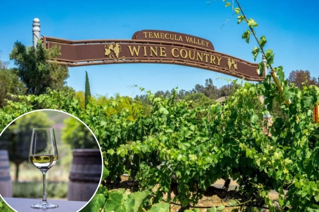 Winery just 90 minutes from LA nominated as one of the nation’s best Winery just 90 minutes from LA nominated as one of the nation’s best