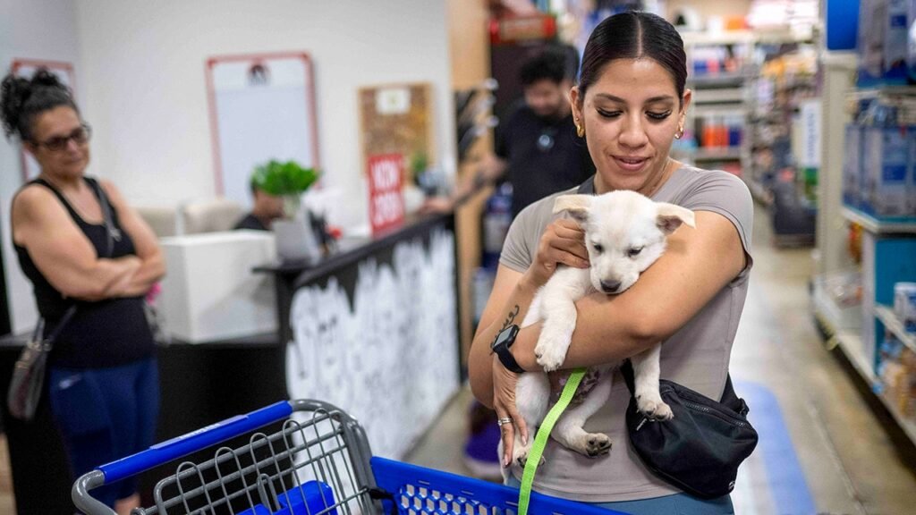 PetSmart’s only San Francisco store set to close as online shopping and same-day delivery reshape pet retail PetSmart’s only San Francisco store set to close as online shopping and same-day delivery reshape pet retail