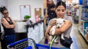 PetSmart’s only San Francisco store set to close as online shopping and same-day delivery reshape pet retail PetSmart’s only San Francisco store set to close as online shopping and same-day delivery reshape pet retail