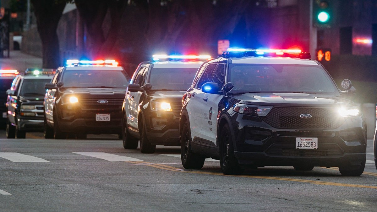 line of police cars on street