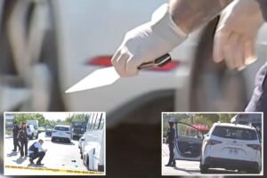 Maniac hacks man with meat cleaver during early morning road-rage clash in Queens: sources Maniac hacks man with meat cleaver during early morning road-rage clash in Queens: sources