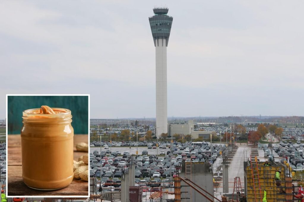 Traveler busted at US airport smuggling live grenade in peanut butter jar: TSA Traveler busted at US airport smuggling live grenade in peanut butter jar: TSA