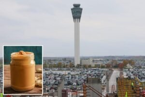 Traveler busted at US airport smuggling live grenade in peanut butter jar: TSA Traveler busted at US airport smuggling live grenade in peanut butter jar: TSA