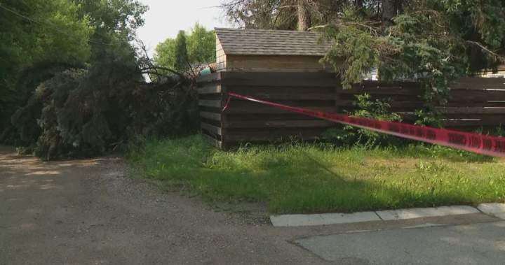 Stormy Saskatoon night leads to power outages, sparks fires Stormy Saskatoon night leads to power outages, sparks fires