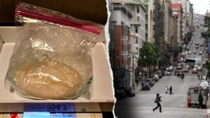 California suspect’s alleged K meth stash seized after he left backpack in rideshare: police
