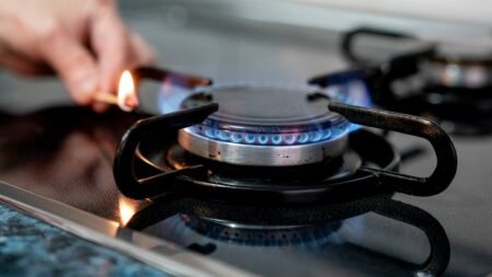 Home cooks should stop using recalled gas range immediately, US says